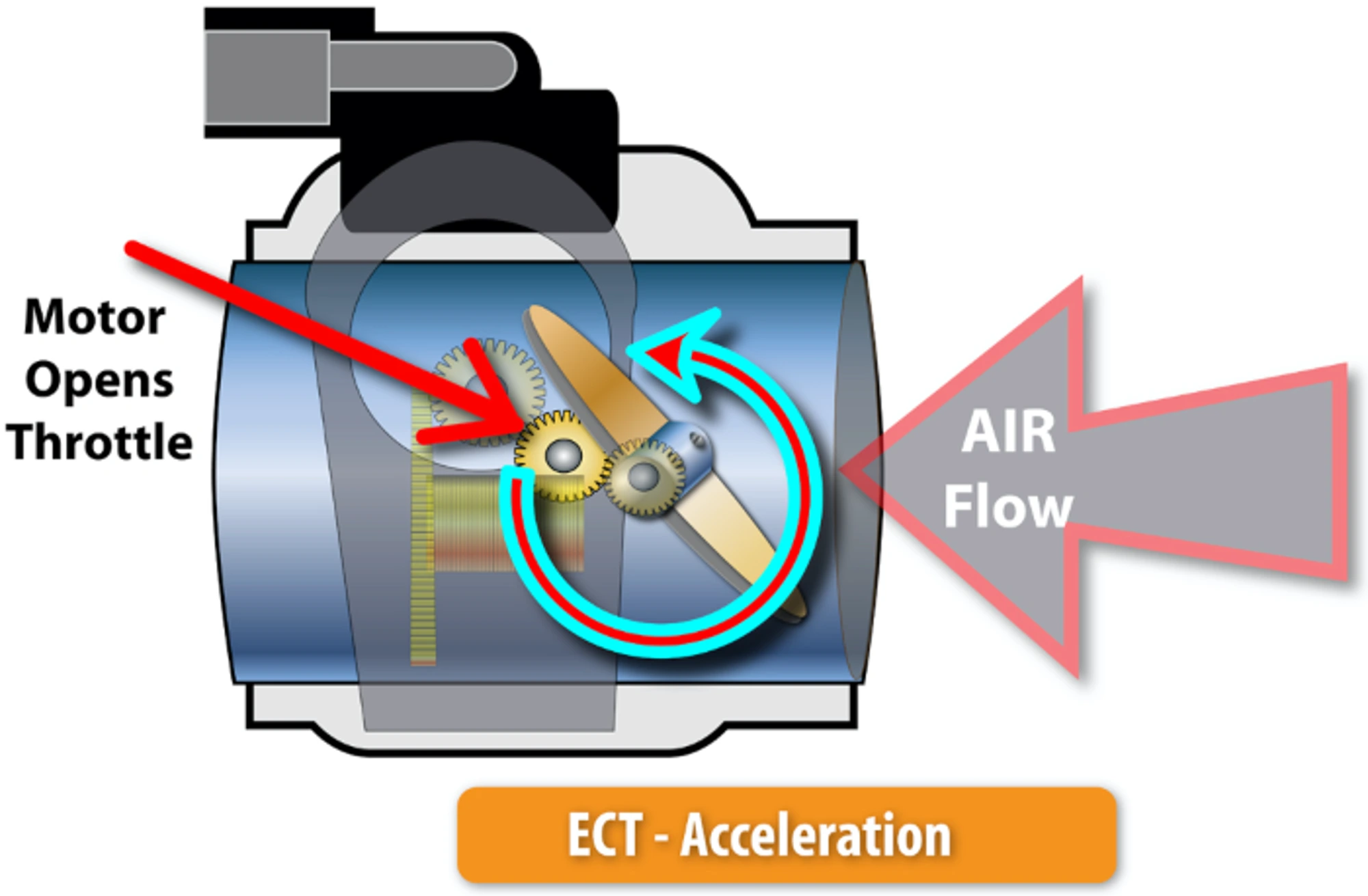 Standard Solution ECT Acceleration Diagram